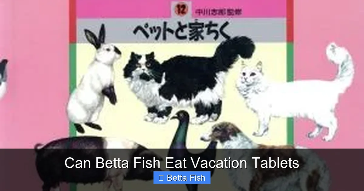 Can Betta Fish Eat Vacation Tablets