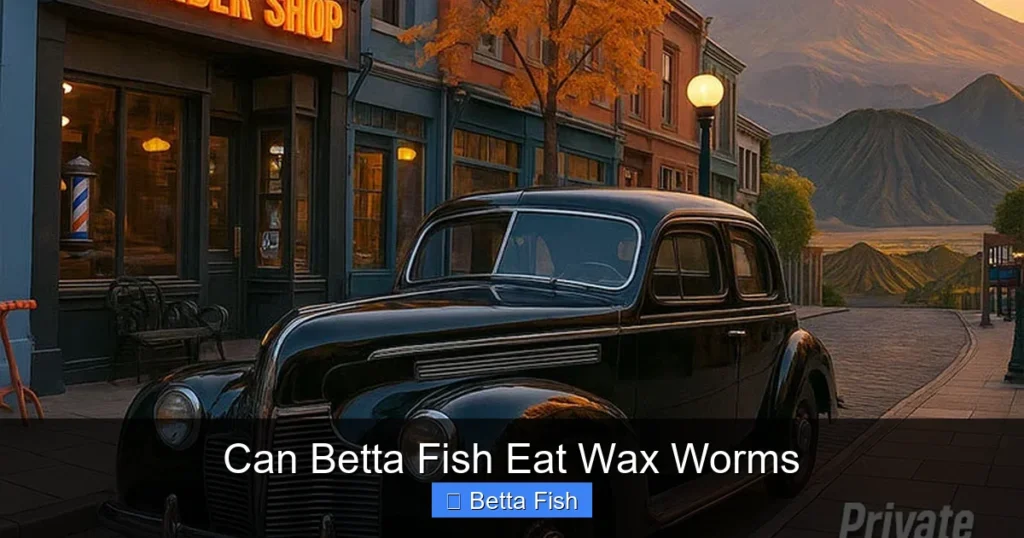 Can Betta Fish Eat Wax Worms