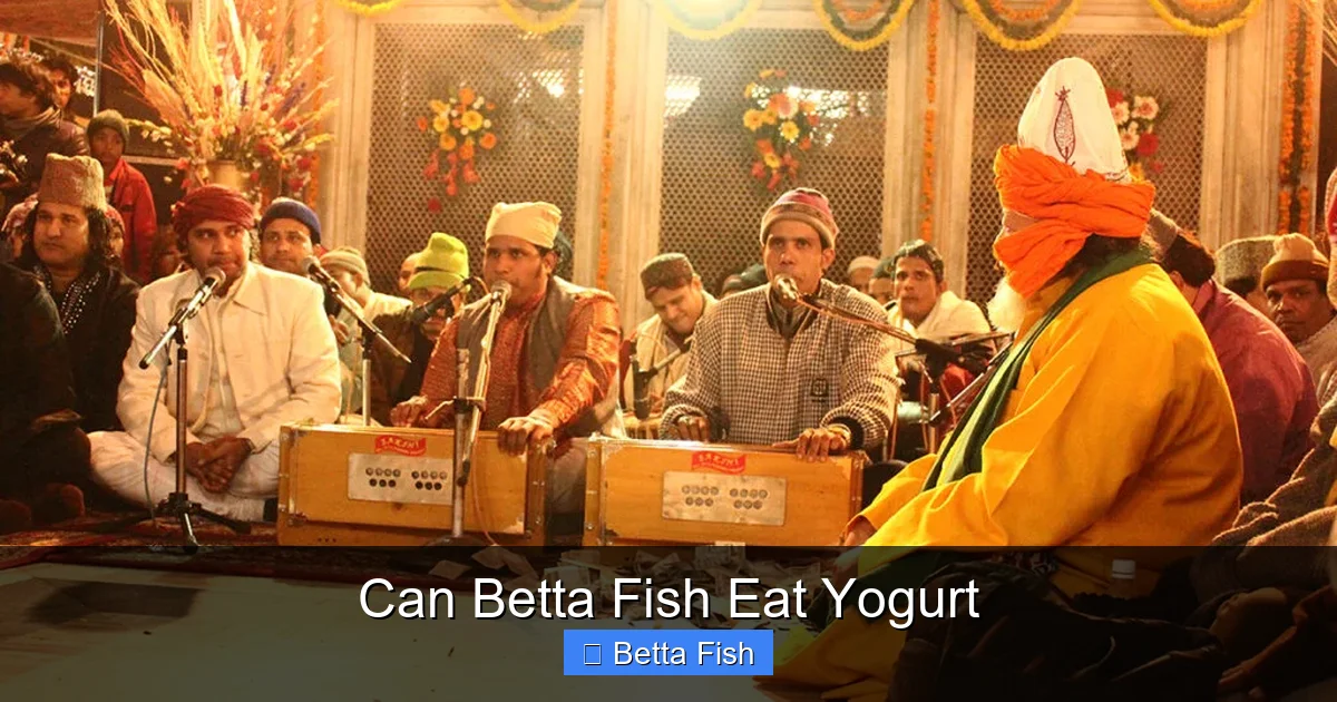 Can Betta Fish Eat Yogurt