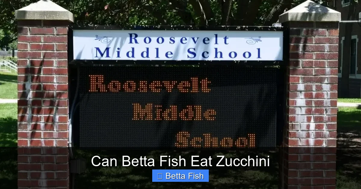 Can Betta Fish Eat Zucchini