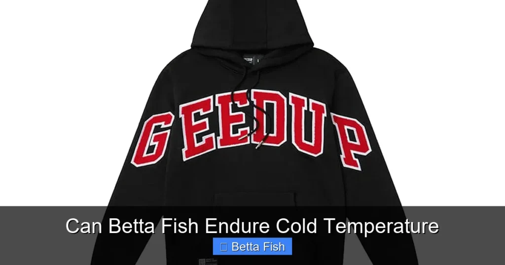 Can Betta Fish Endure Cold Temperature