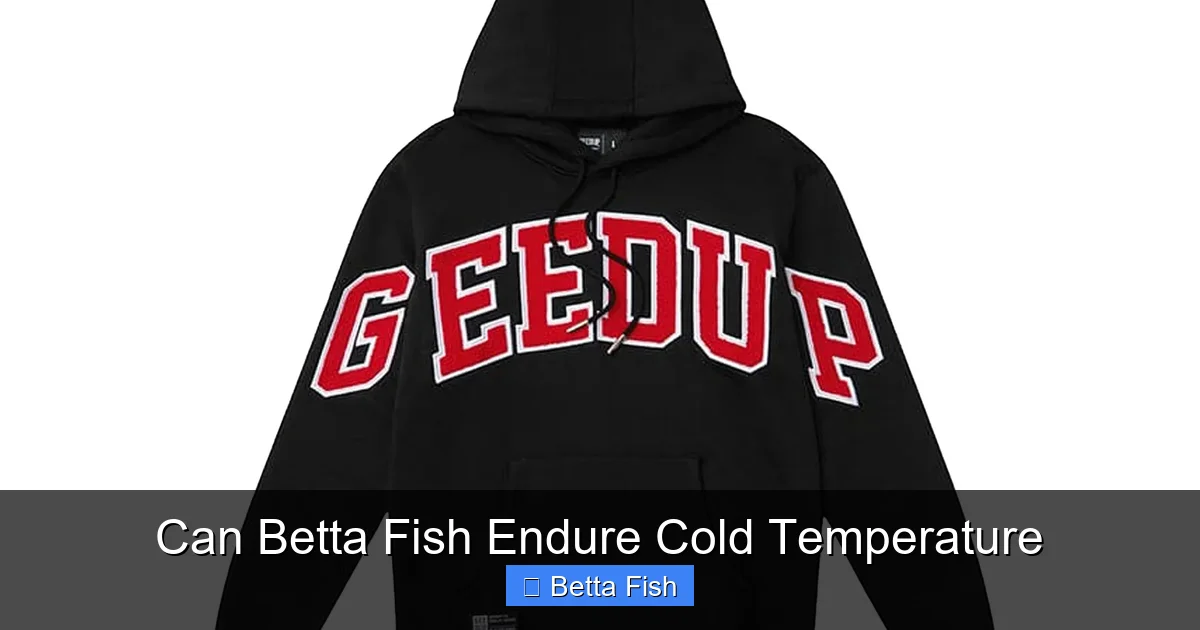 Can Betta Fish Endure Cold Temperature