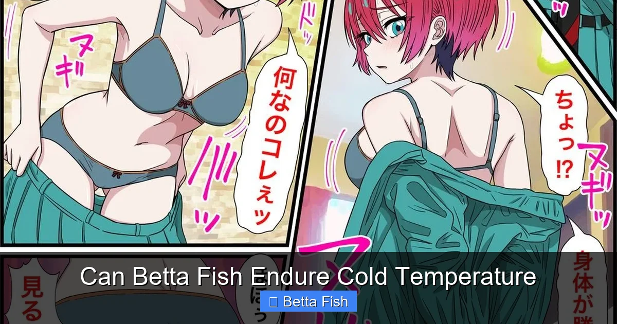 Can Betta Fish Endure Cold Temperature