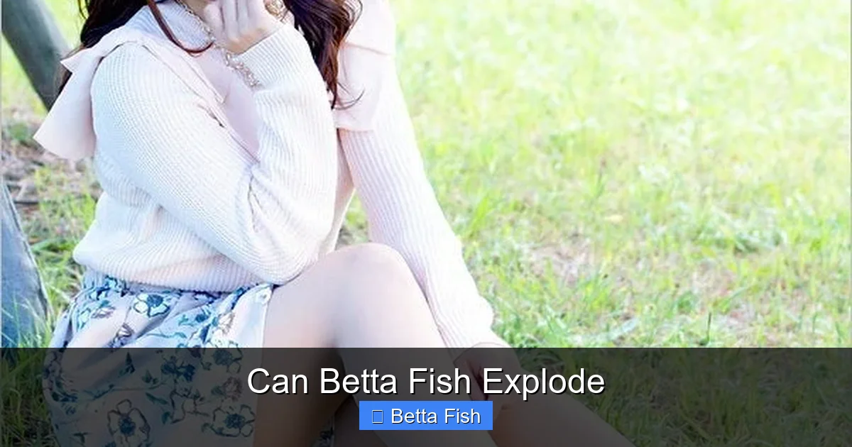 Can Betta Fish Explode