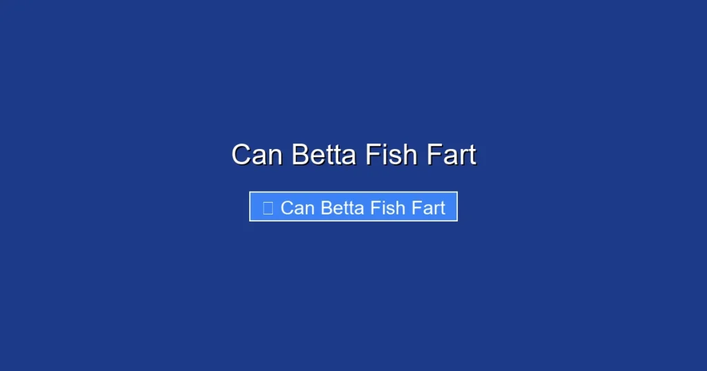 Can Betta Fish Fart