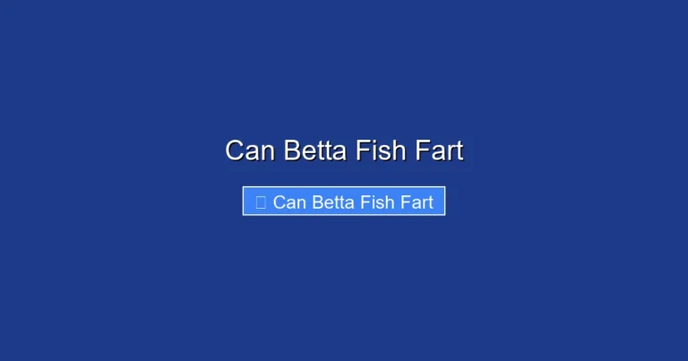 Can Betta Fish Fart