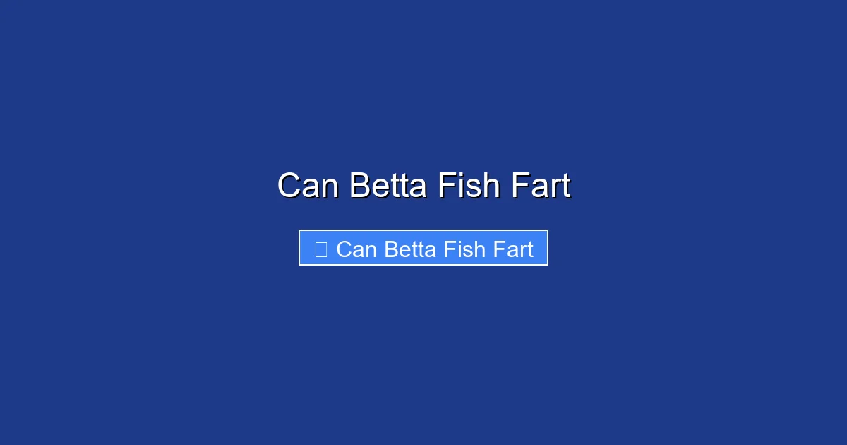 Can Betta Fish Fart