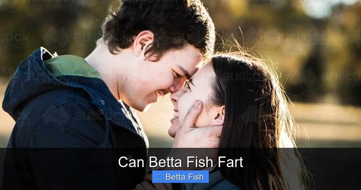 Can Betta Fish Fart