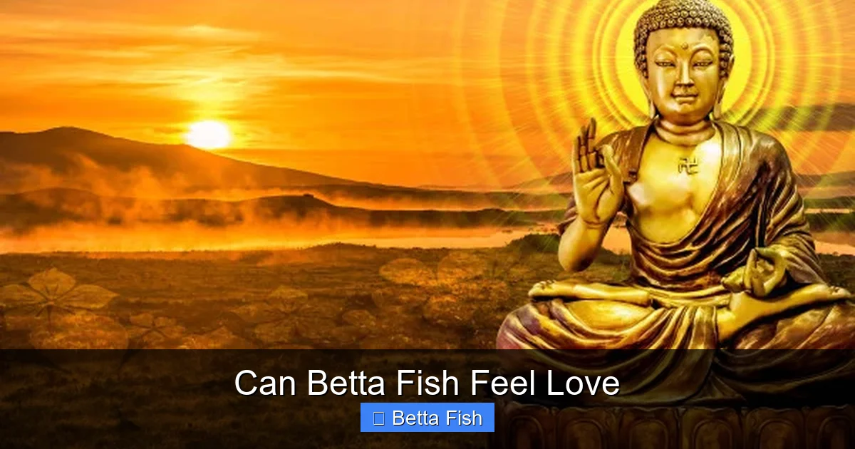 Can Betta Fish Feel Love