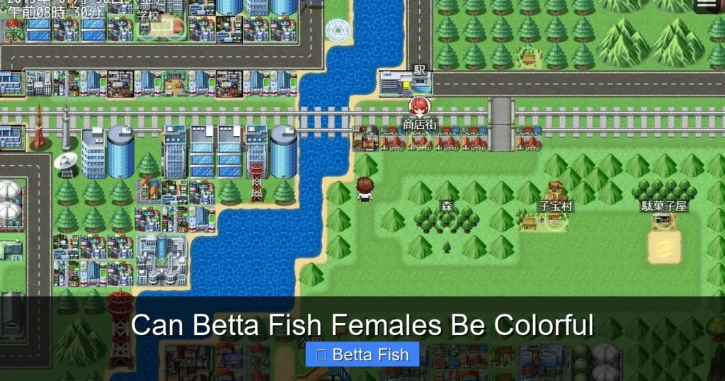 Can Betta Fish Females Be Colorful