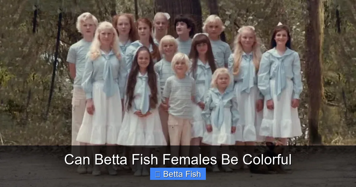 Can Betta Fish Females Be Colorful