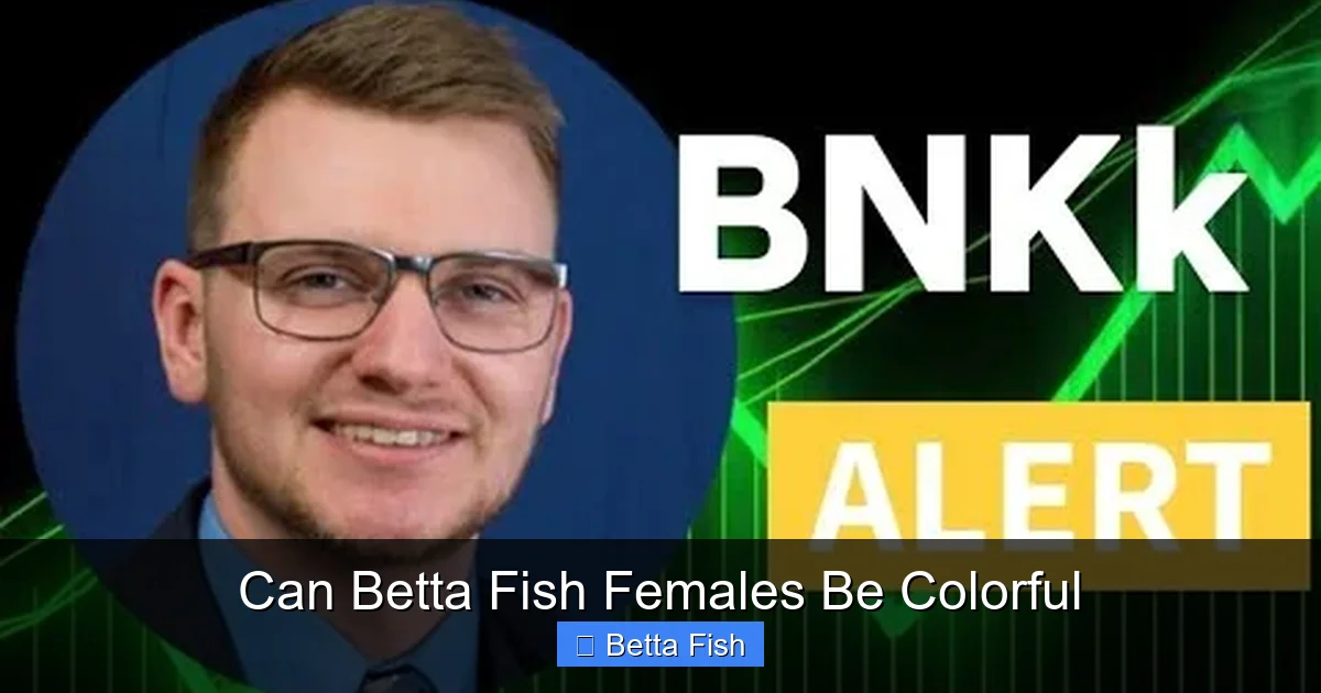 Can Betta Fish Females Be Colorful