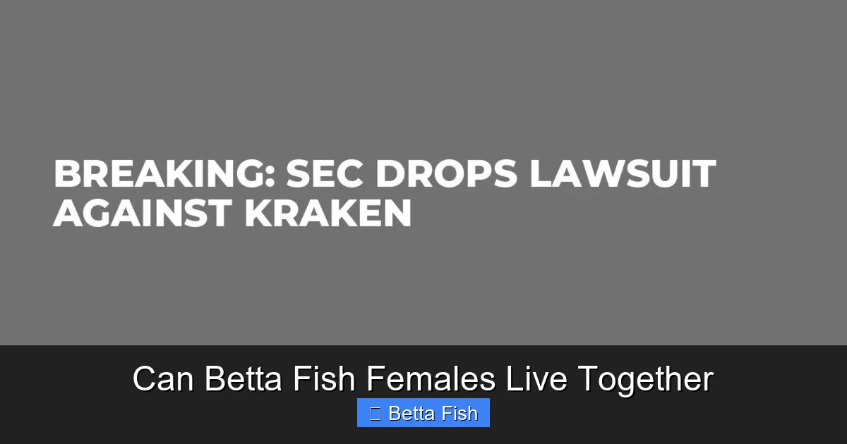 Can Betta Fish Females Live Together