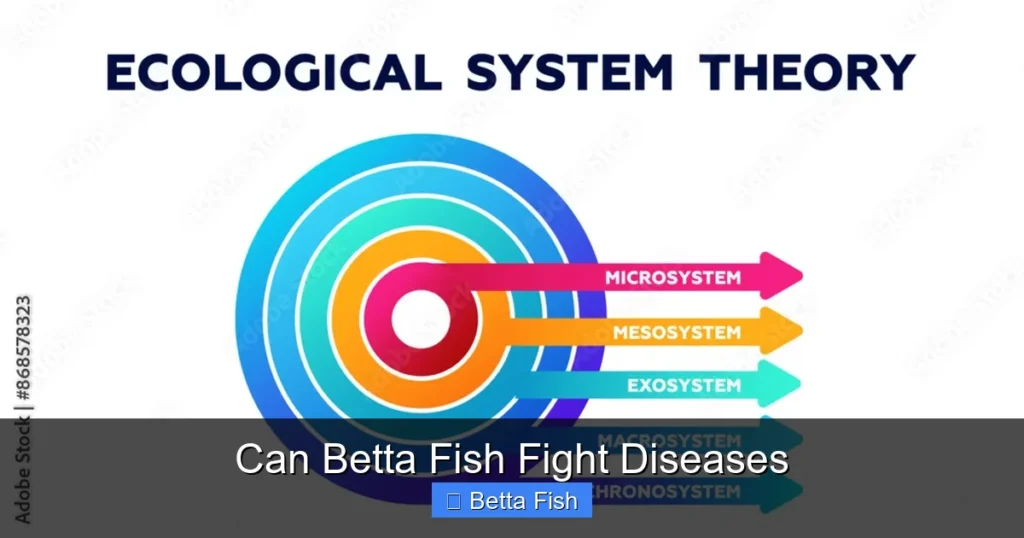 Can Betta Fish Fight Diseases