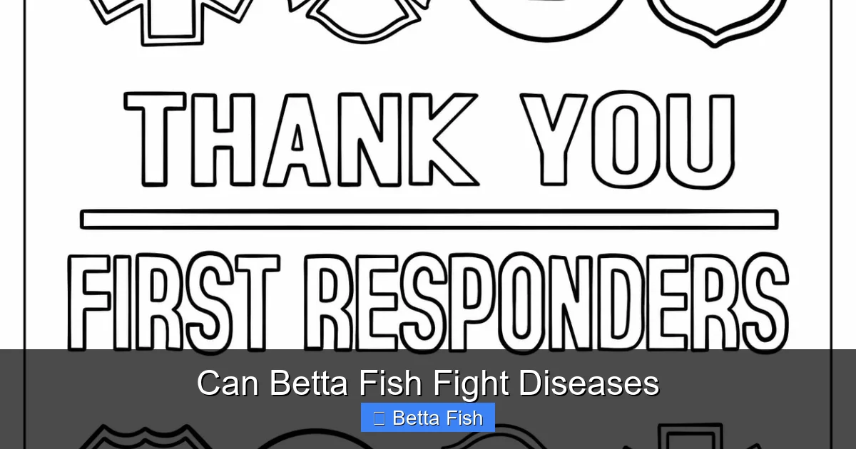 Can Betta Fish Fight Diseases