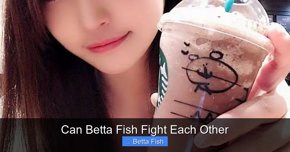 Can Betta Fish Fight Each Other