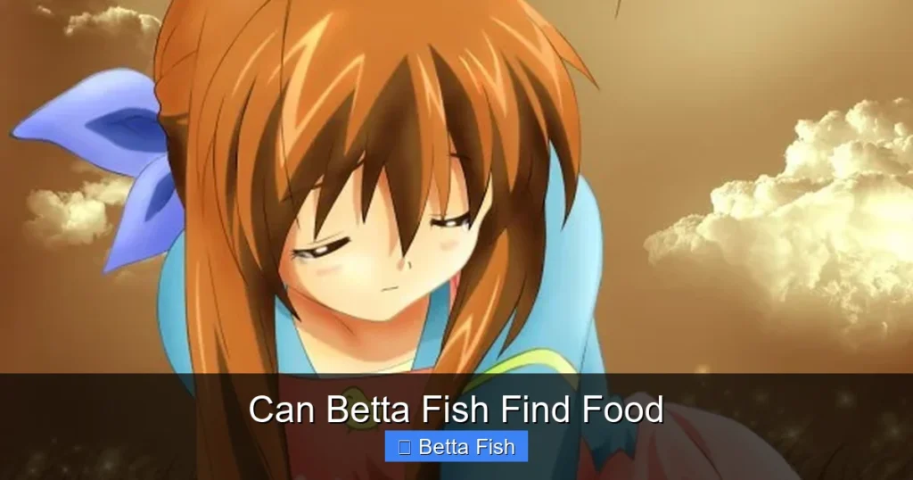 Can Betta Fish Find Food