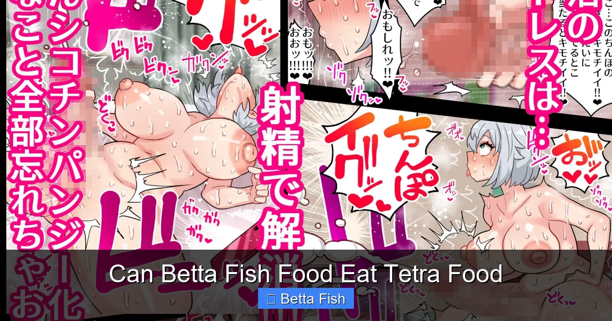 Can Betta Fish Food Eat Tetra Food