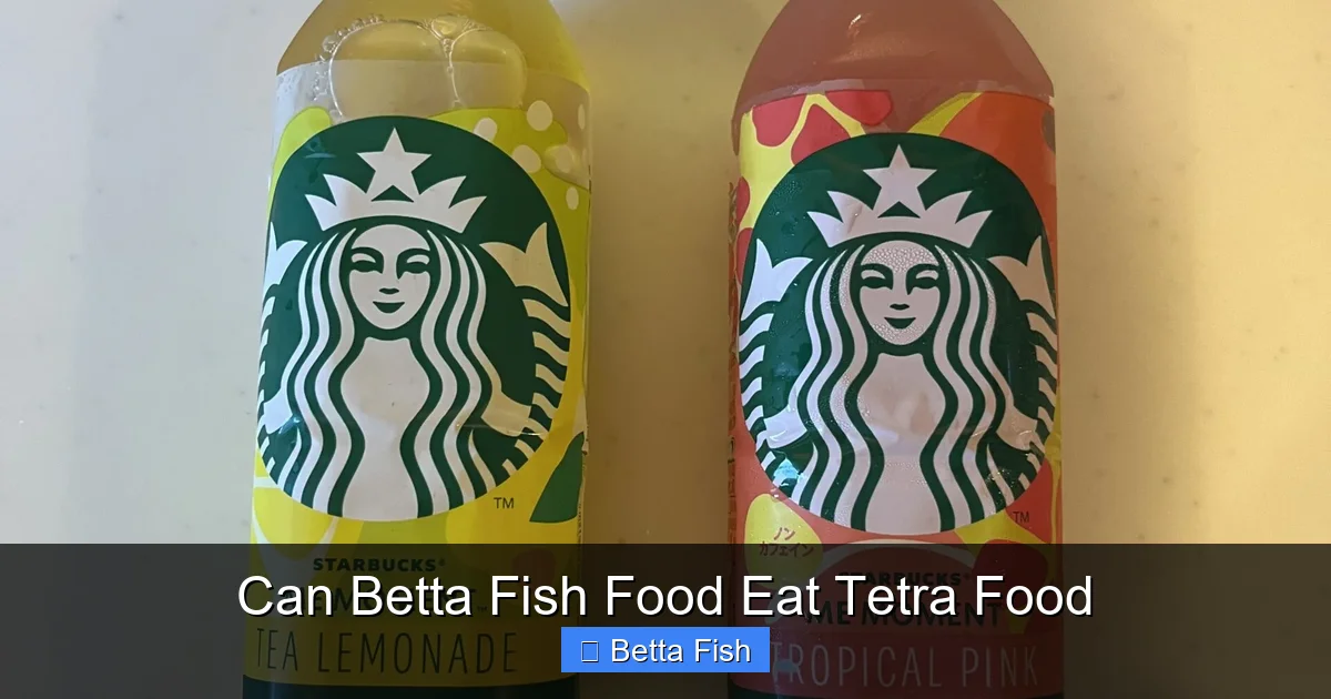 Can Betta Fish Food Eat Tetra Food