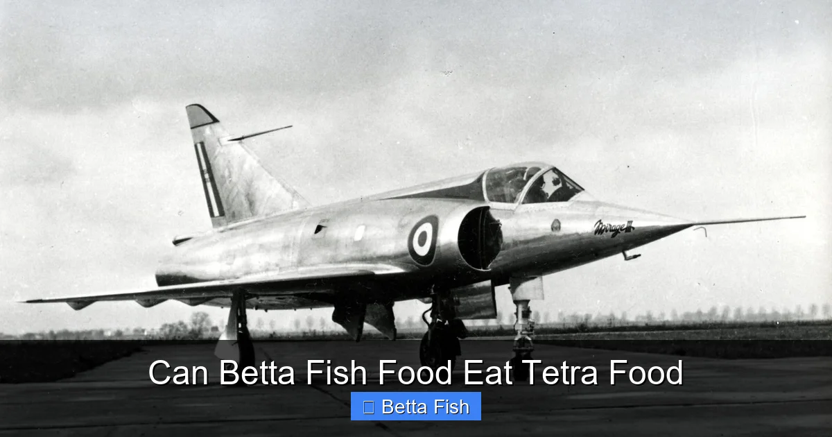 Can Betta Fish Food Eat Tetra Food
