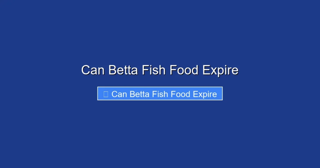 Can Betta Fish Food Expire