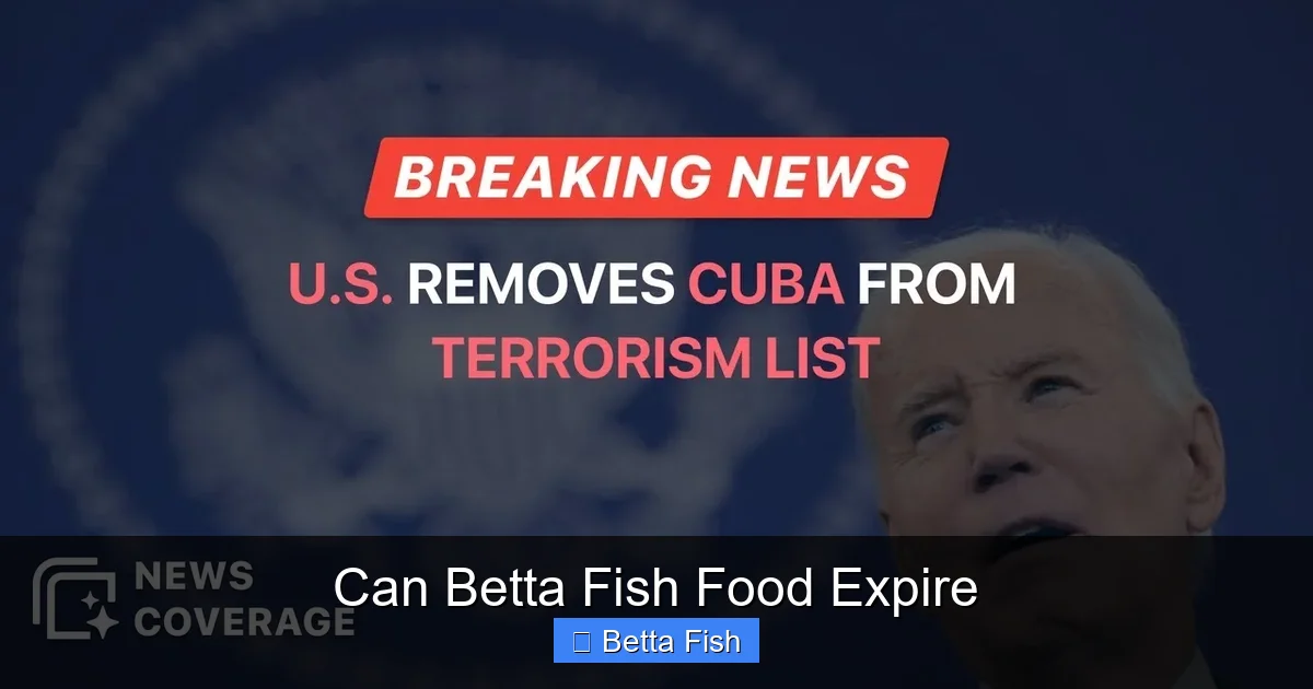 Can Betta Fish Food Expire
