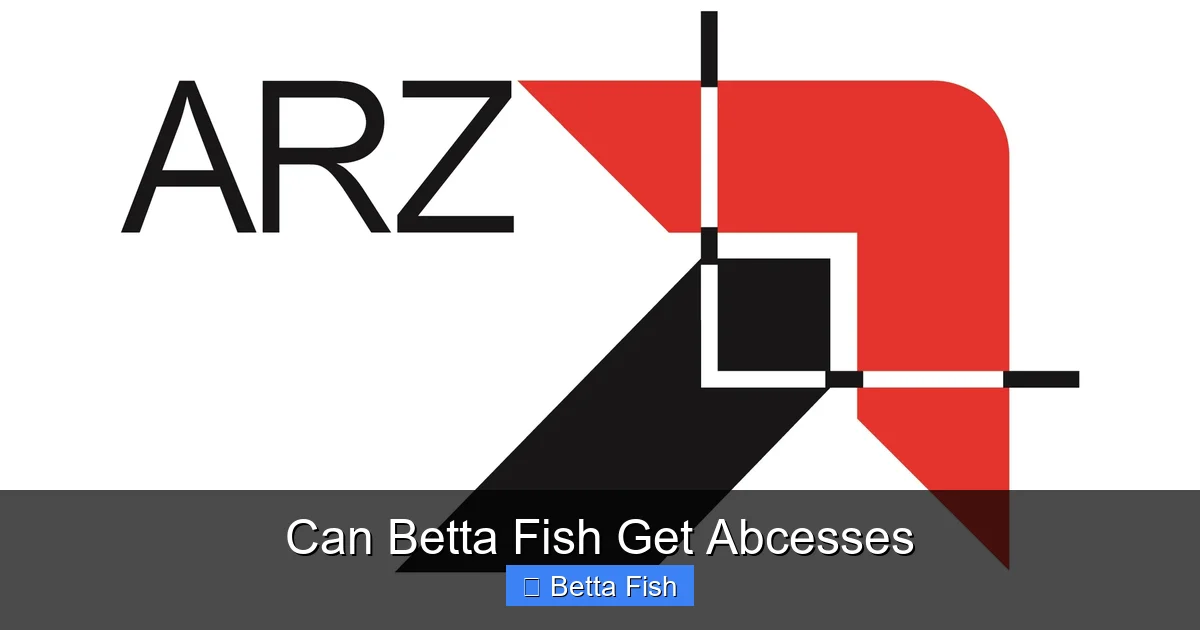 Can Betta Fish Get Abcesses
