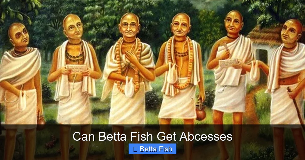 Can Betta Fish Get Abcesses