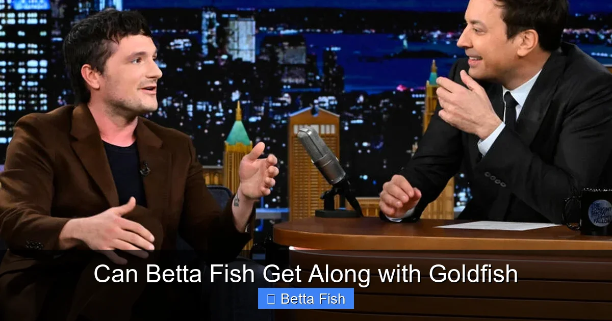 Can Betta Fish Get Along with Goldfish