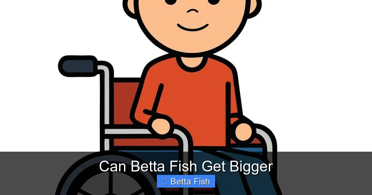 Can Betta Fish Get Bigger