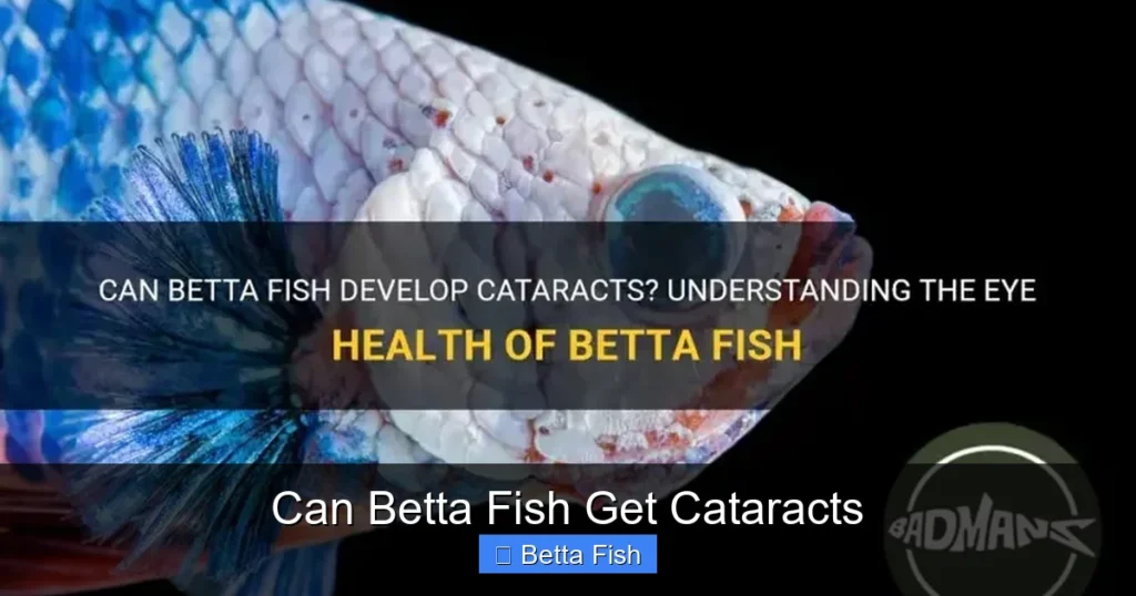 Can Betta Fish Get Cataracts