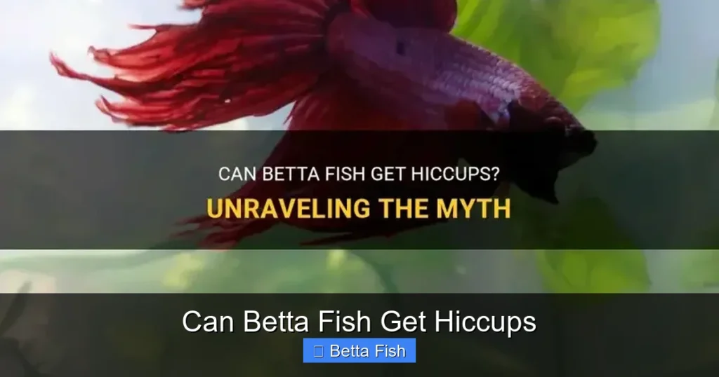 Can Betta Fish Get Hiccups