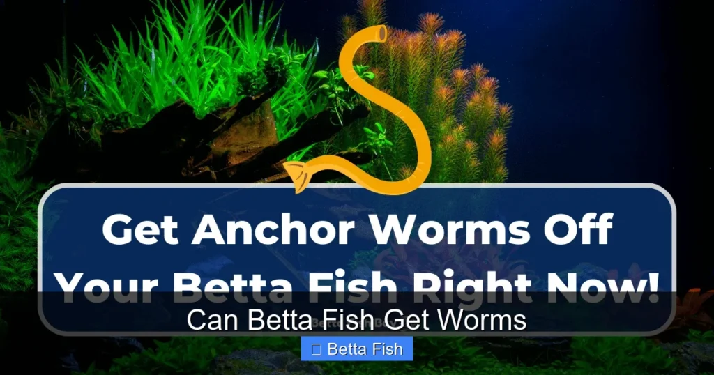 Can Betta Fish Get Worms