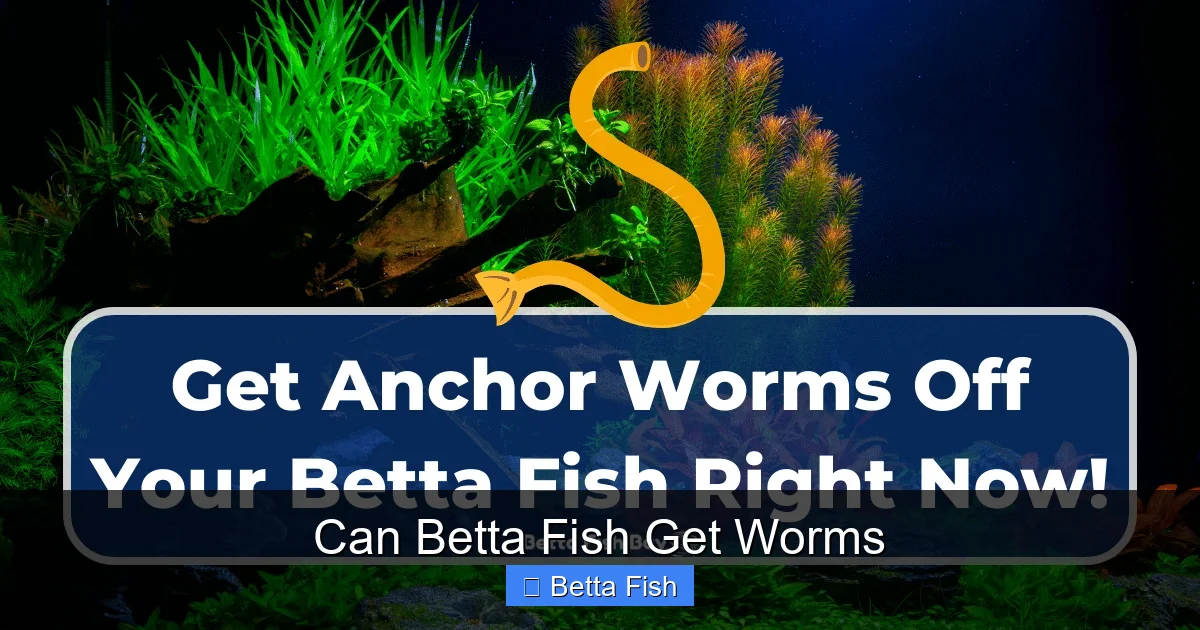 Can Betta Fish Get Worms