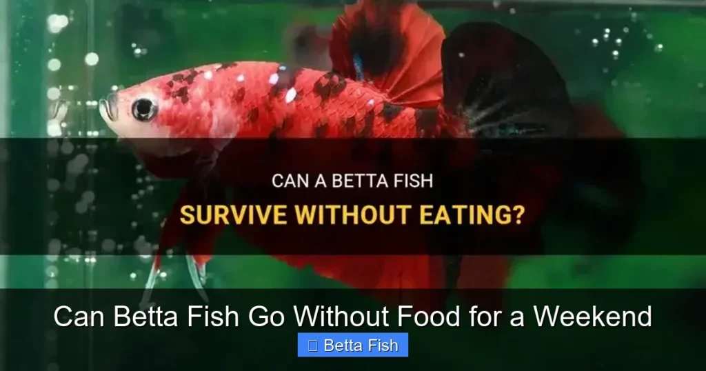 Can Betta Fish Go Without Food for a Weekend