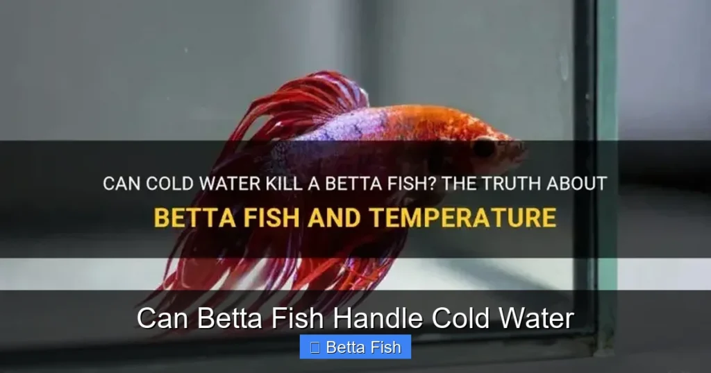 Can Betta Fish Handle Cold Water