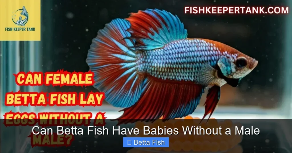 Can Betta Fish Have Babies Without a Male
