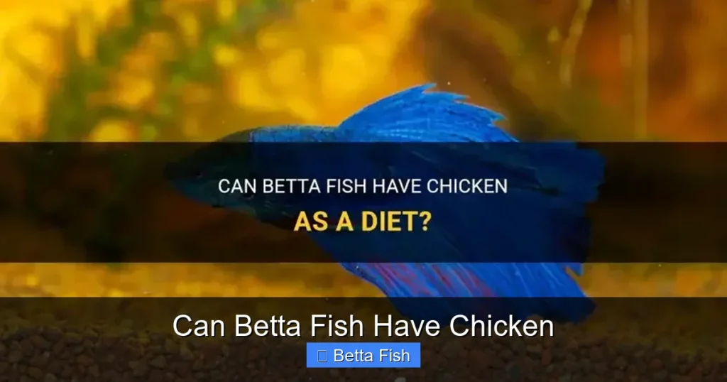 Can Betta Fish Have Chicken
