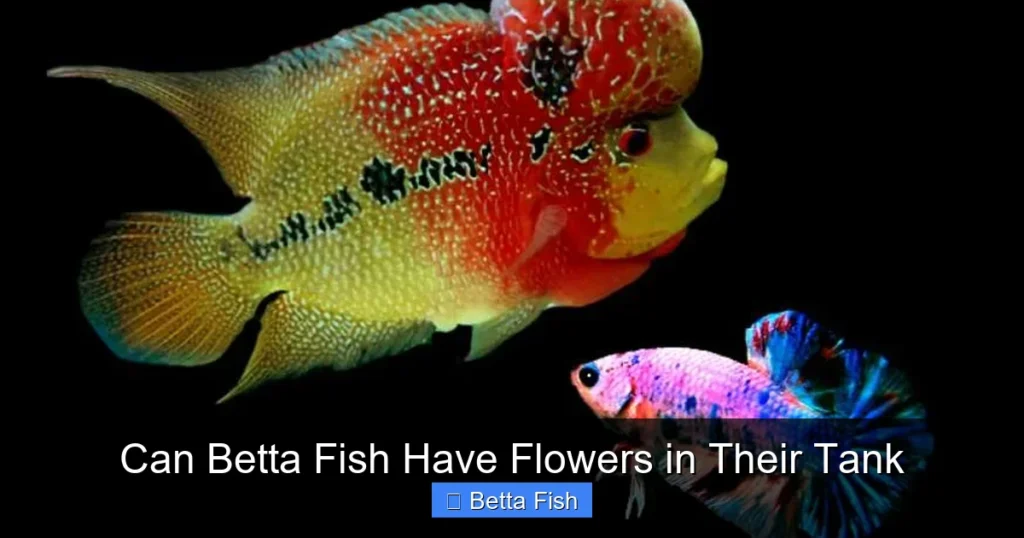 Can Betta Fish Have Flowers in Their Tank