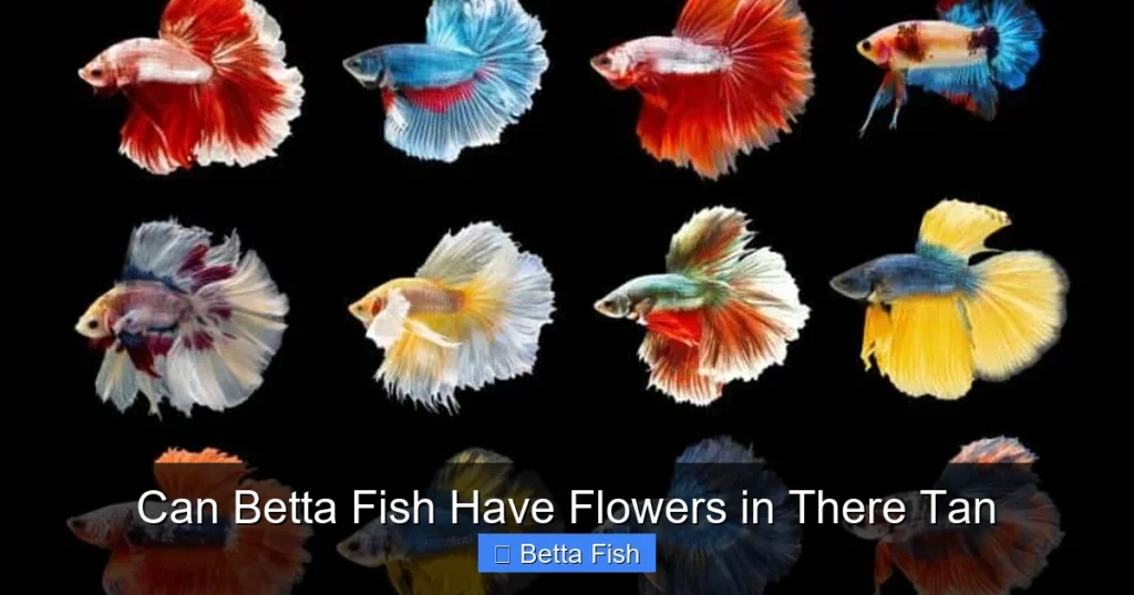 Can Betta Fish Have Flowers in There Tan