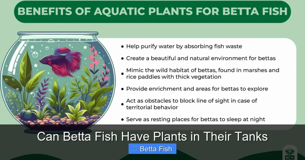 Can Betta Fish Have Plants in Their Tanks
