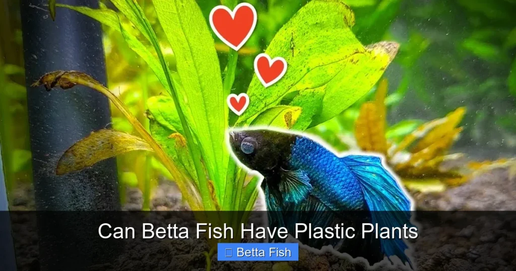 Can Betta Fish Have Plastic Plants