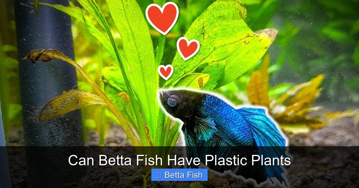 Can Betta Fish Have Plastic Plants