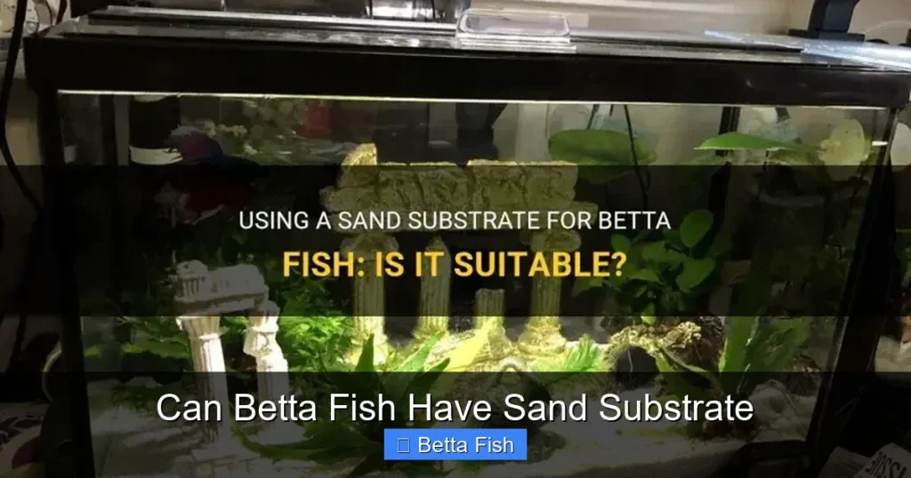 Can Betta Fish Have Sand Substrate