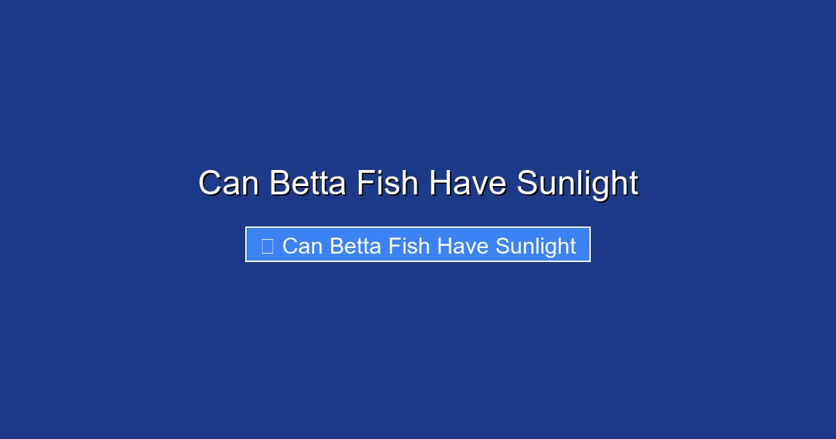 Can Betta Fish Have Sunlight