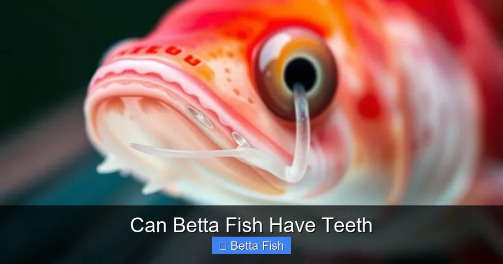Can Betta Fish Have Teeth