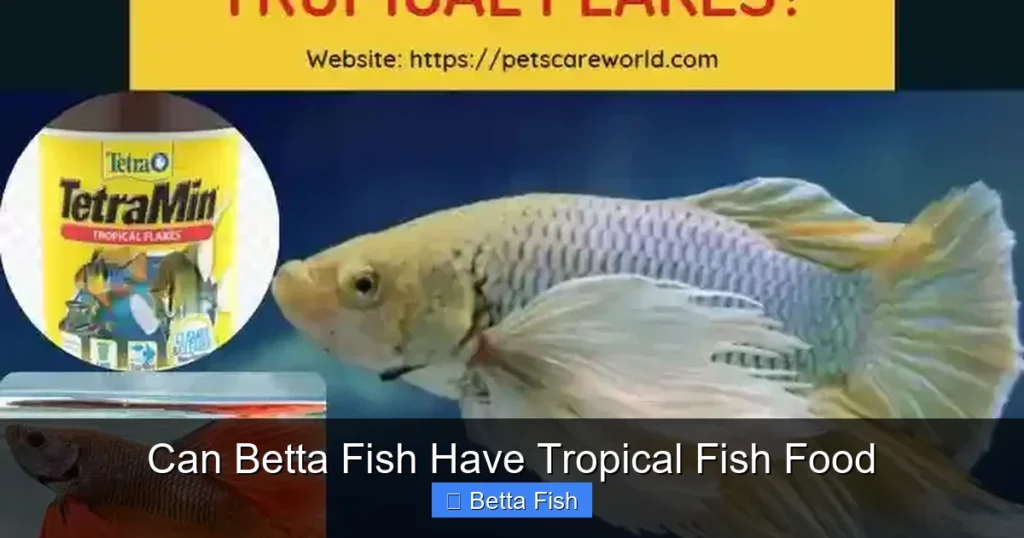 Can Betta Fish Have Tropical Fish Food