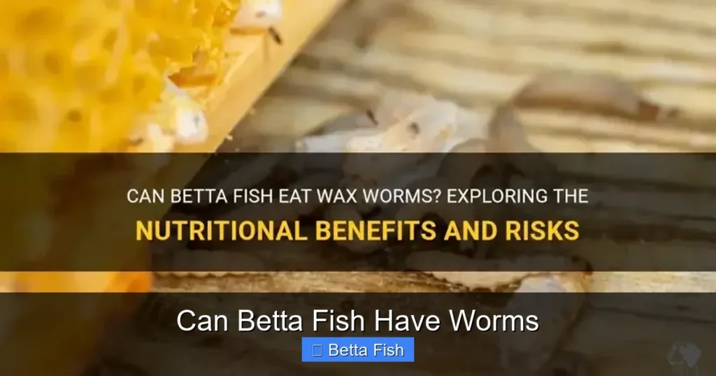 Can Betta Fish Have Worms