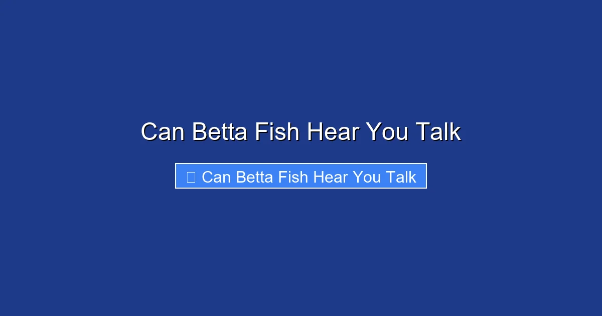 Can Betta Fish Hear You Talk