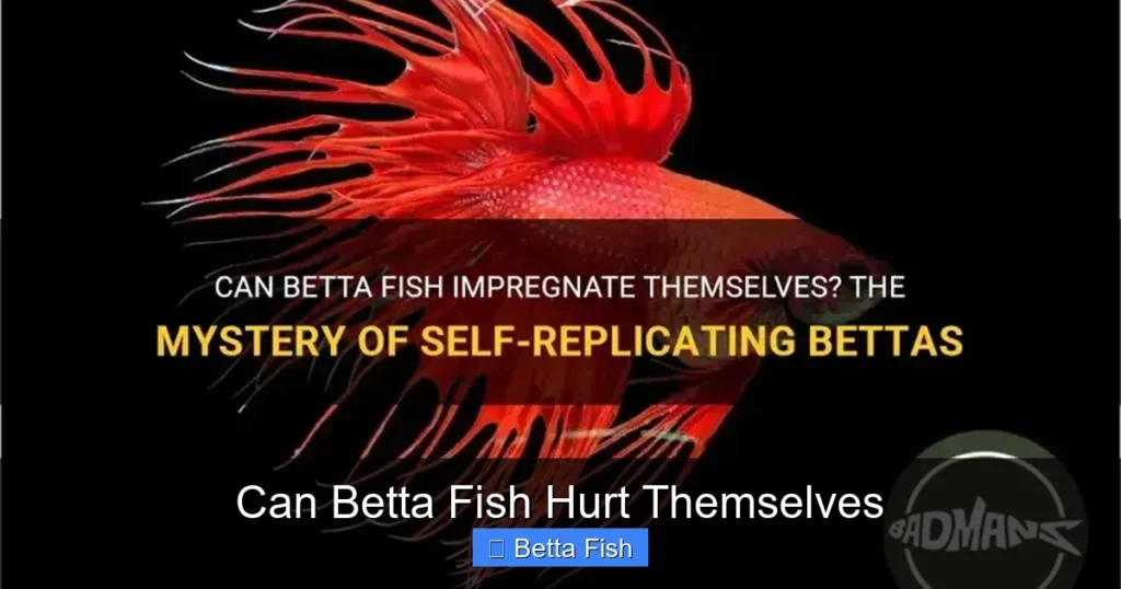 Can Betta Fish Hurt Themselves
